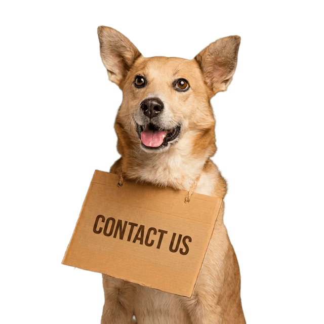 Dog holding a Contact Us sign